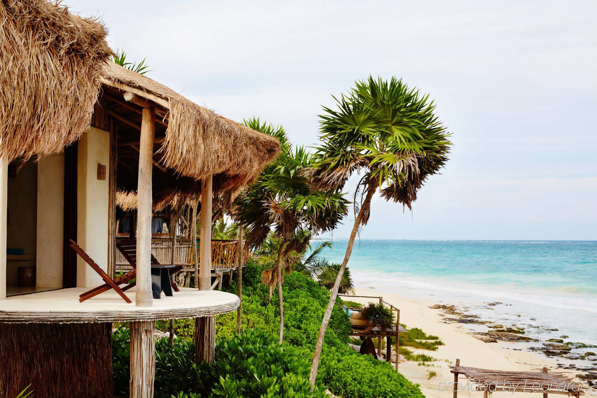 Papaya Playa Project