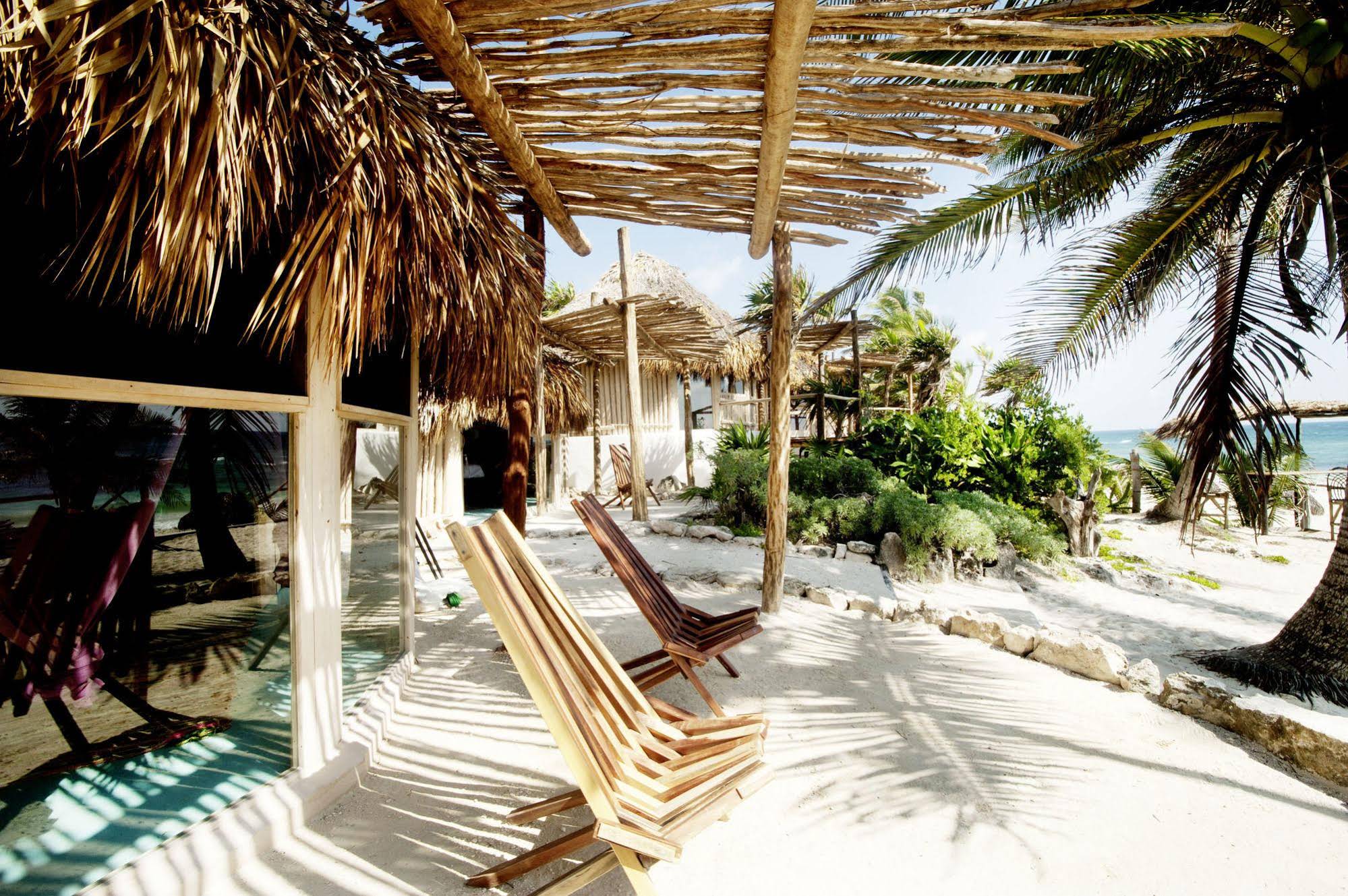 Papaya Playa Project