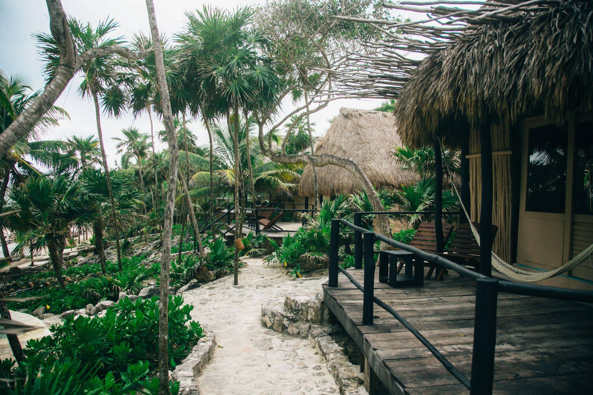Papaya Playa Project