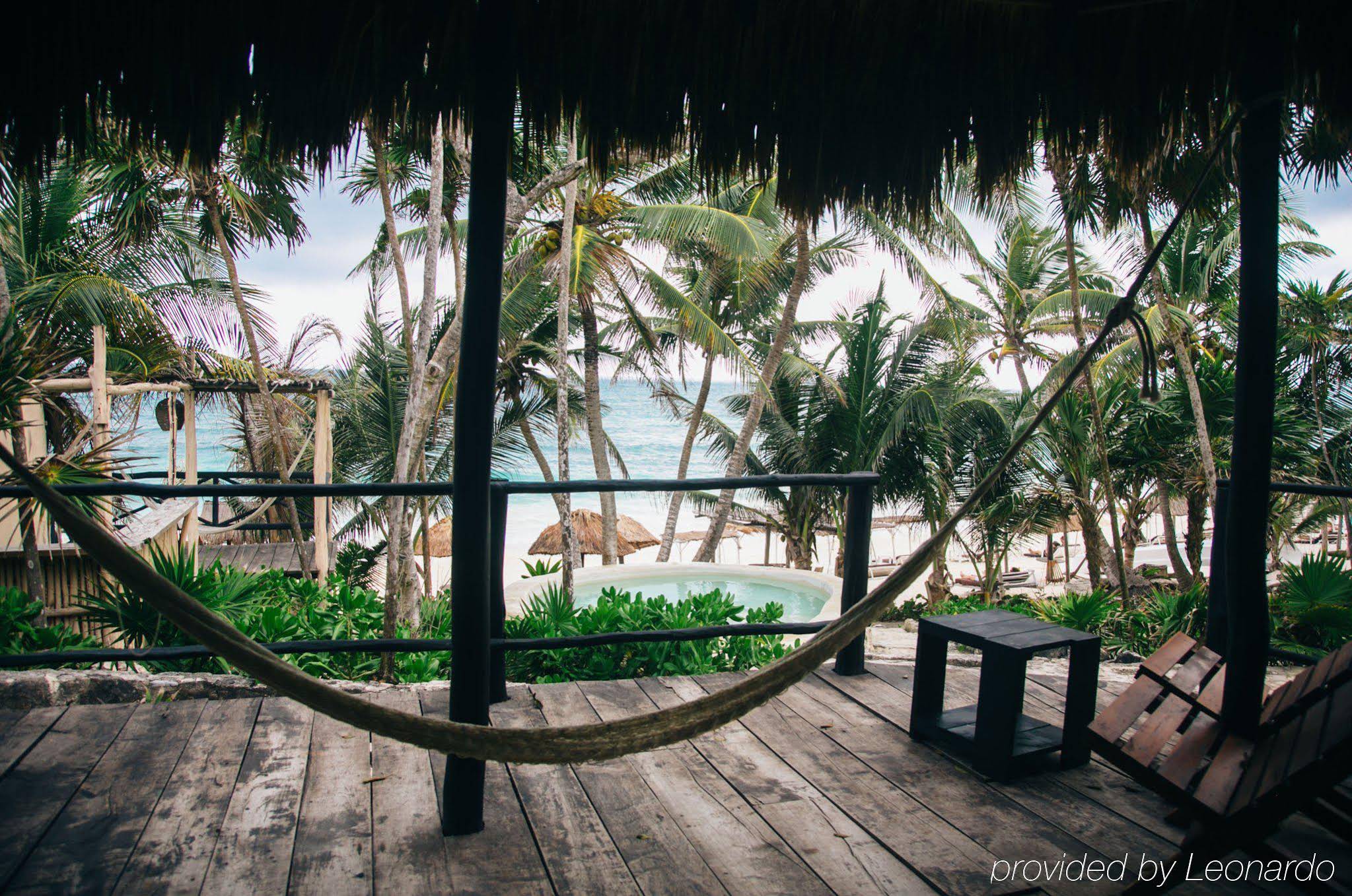 Papaya Playa Project