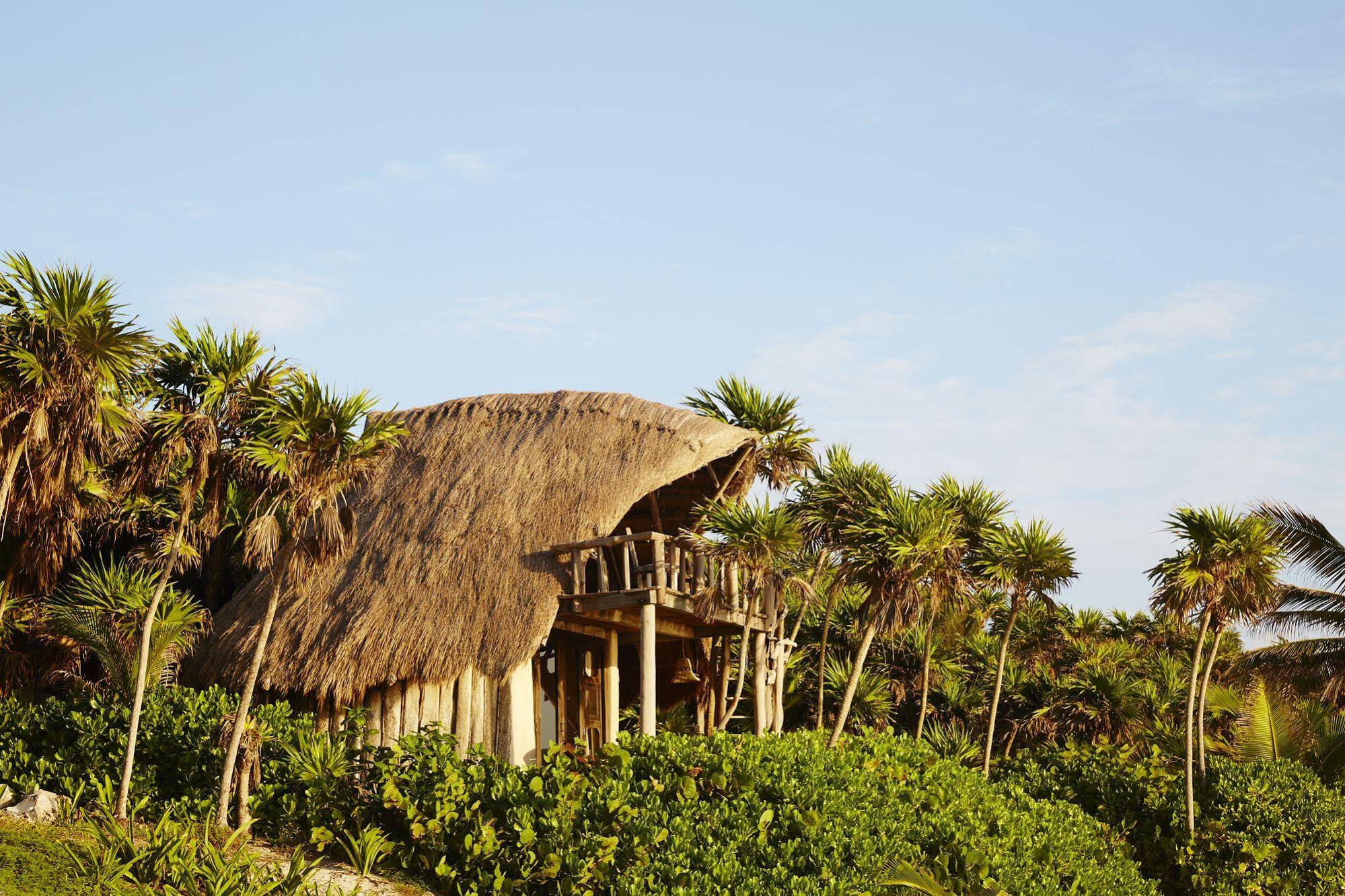 Papaya Playa Project