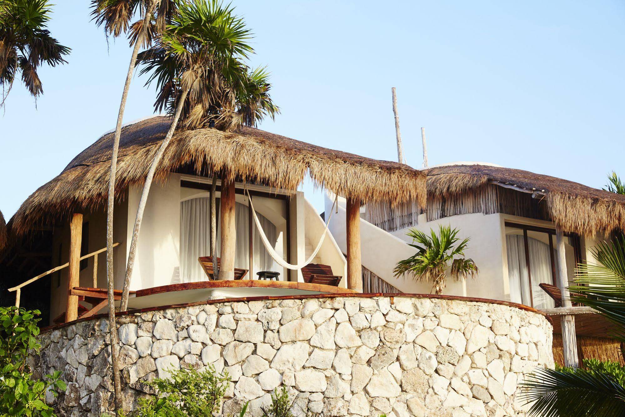 Papaya Playa Project