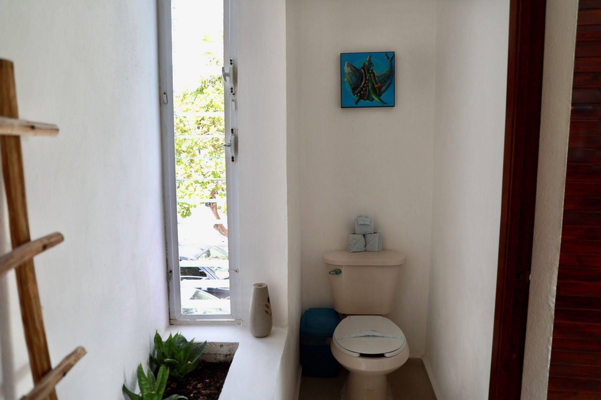 Residencia Gorila