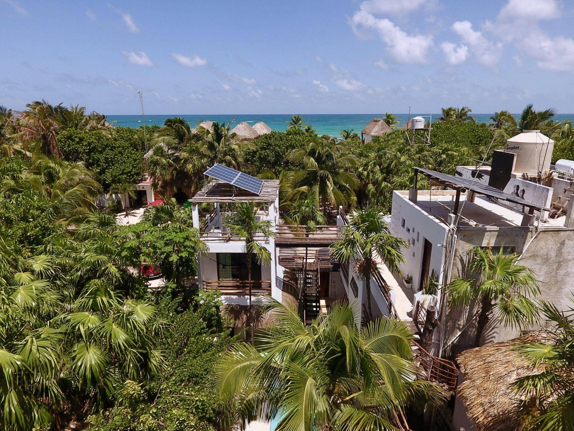 Residencia Gorila