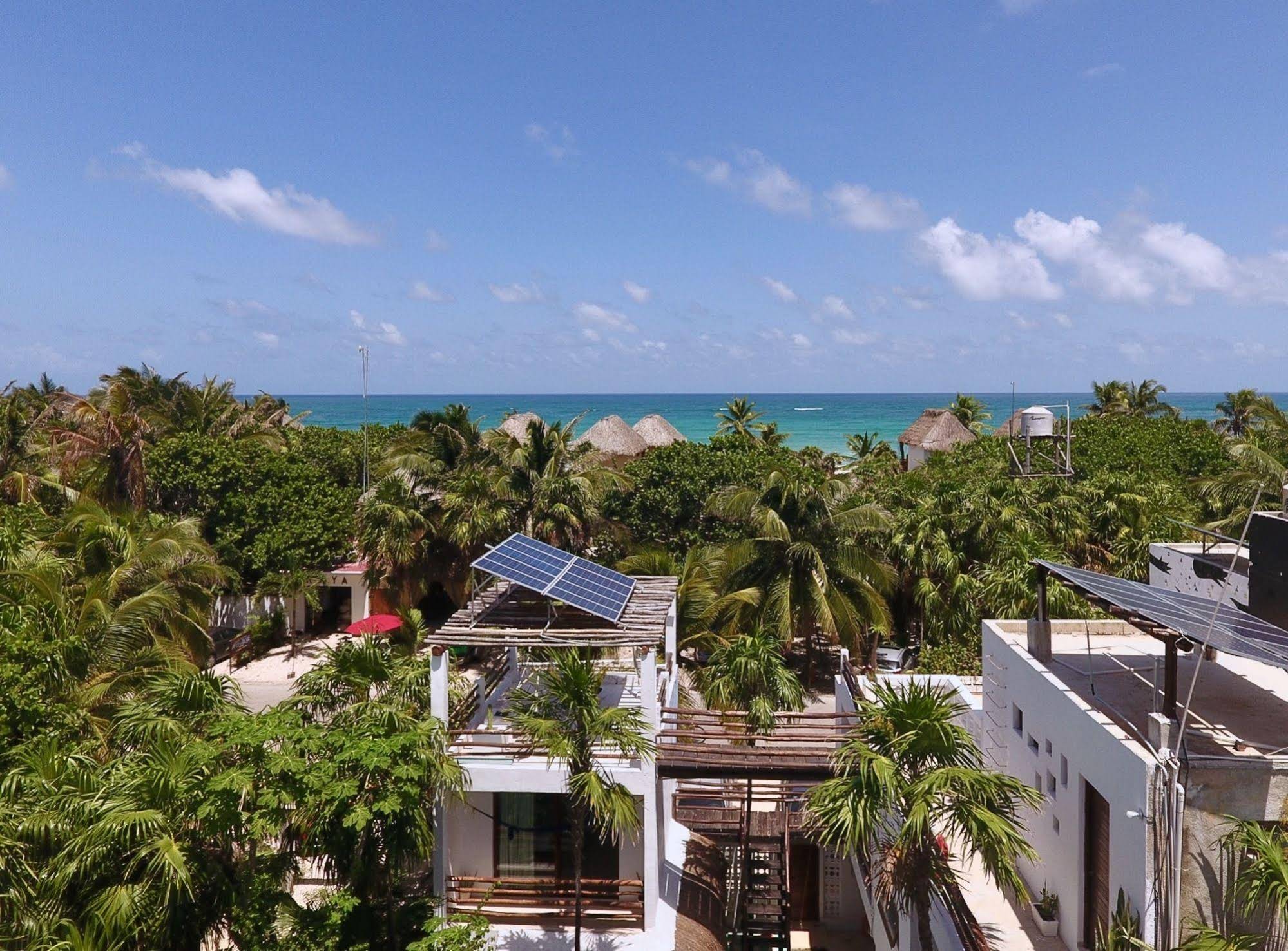 Residencia Gorila
