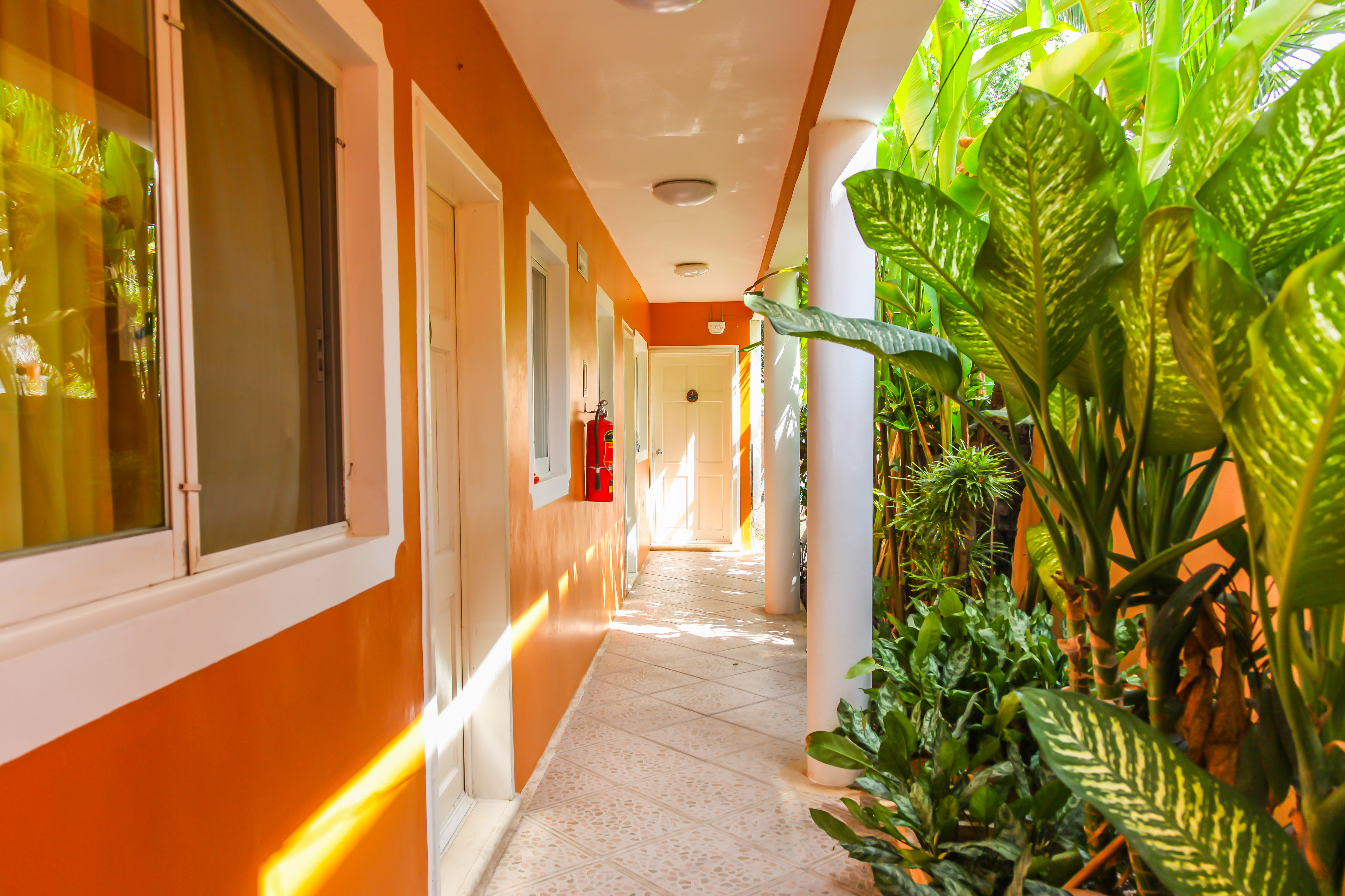 Residencia La Mariposa
