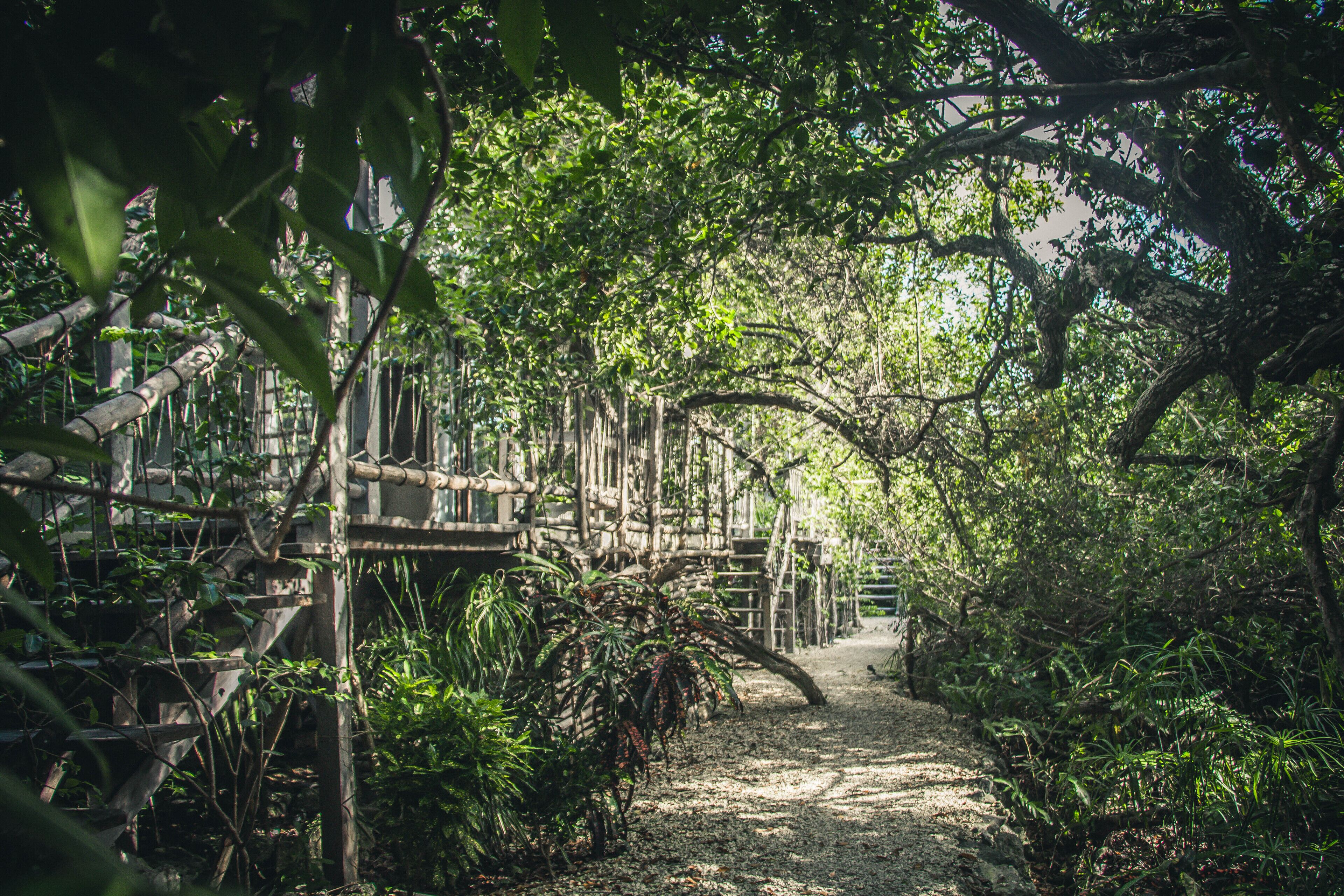 Roc Jungle Tulum
