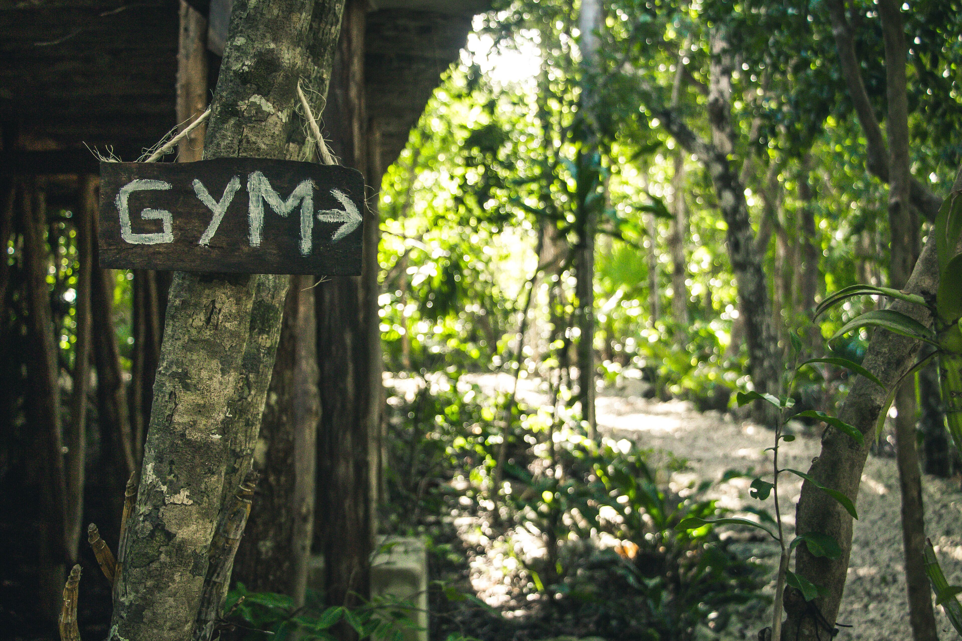 Roc Jungle Tulum