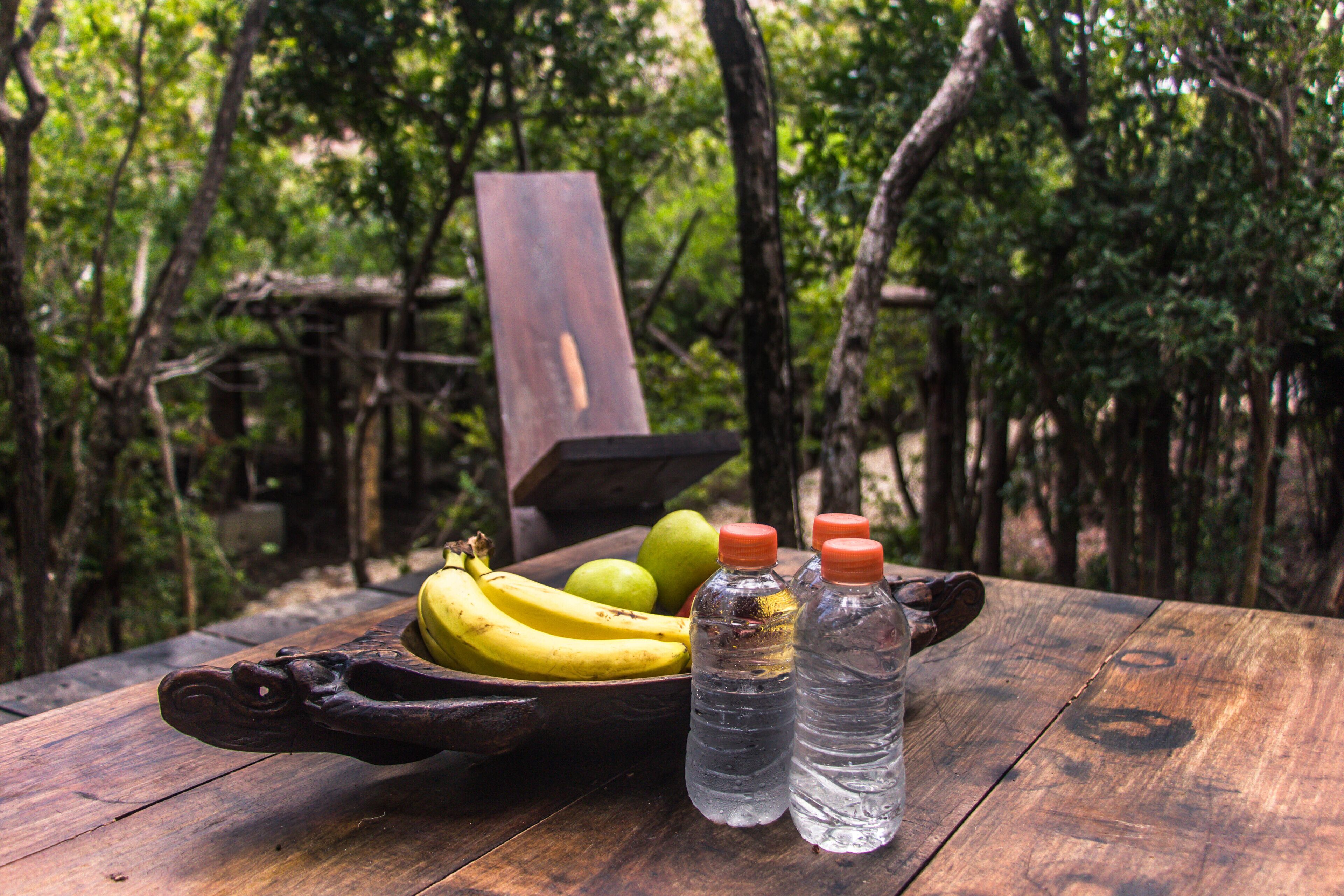 Roc Jungle Tulum