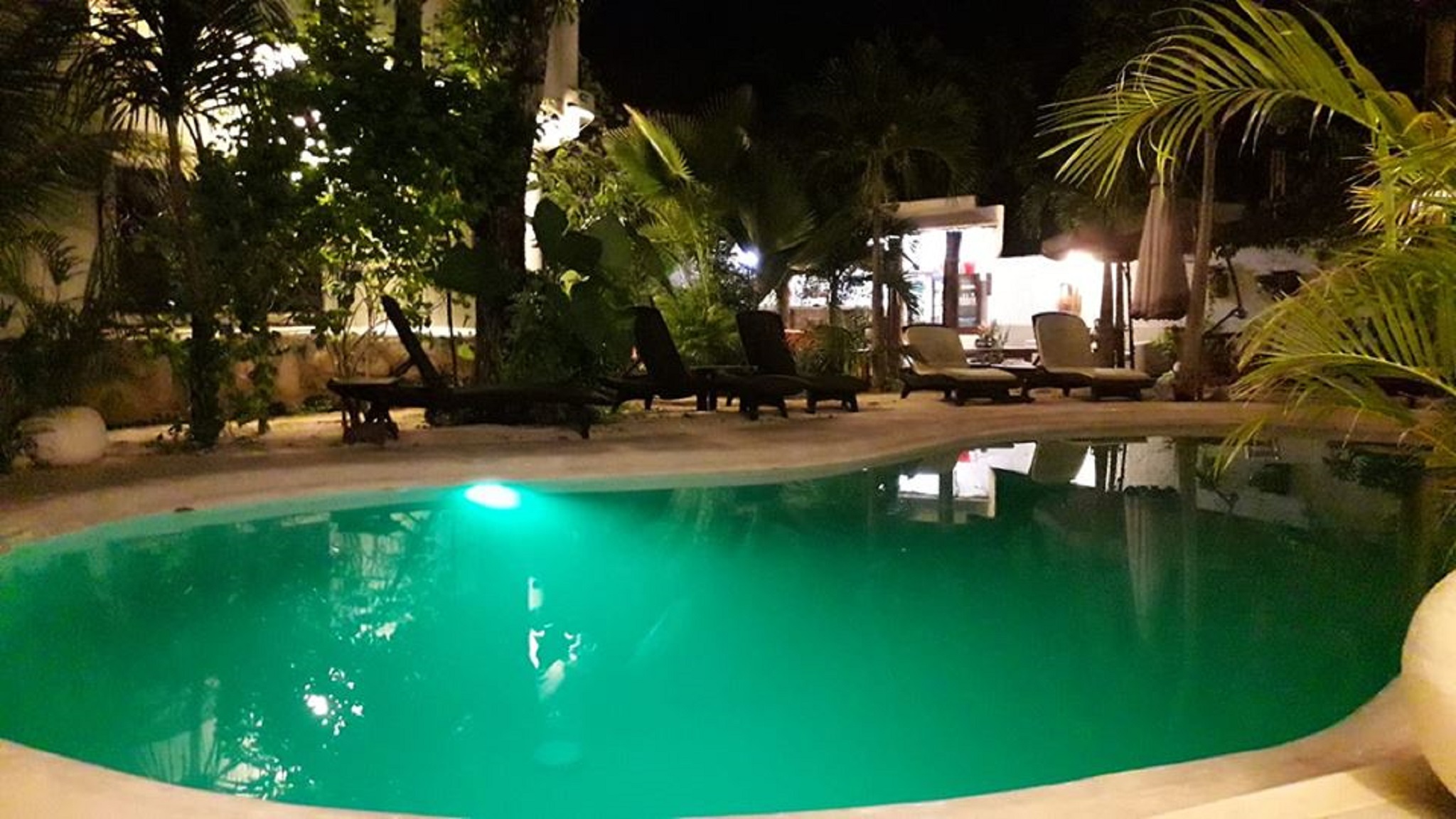 Sonido Del Mar