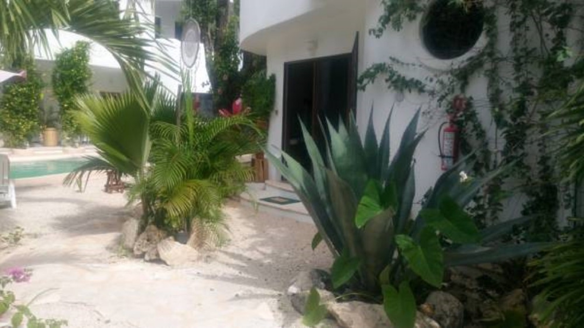 Sonido Del Mar