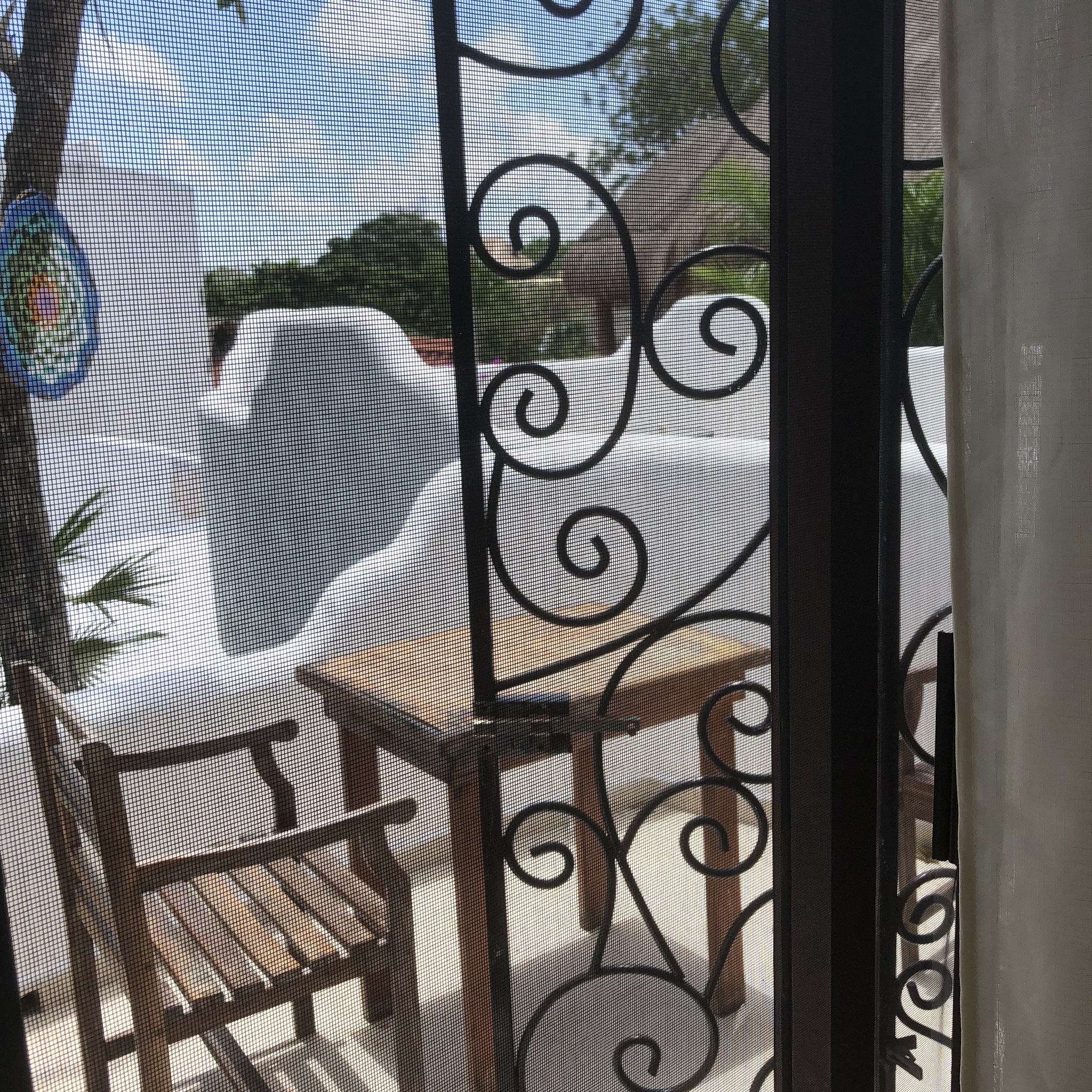 Sonido Del Mar