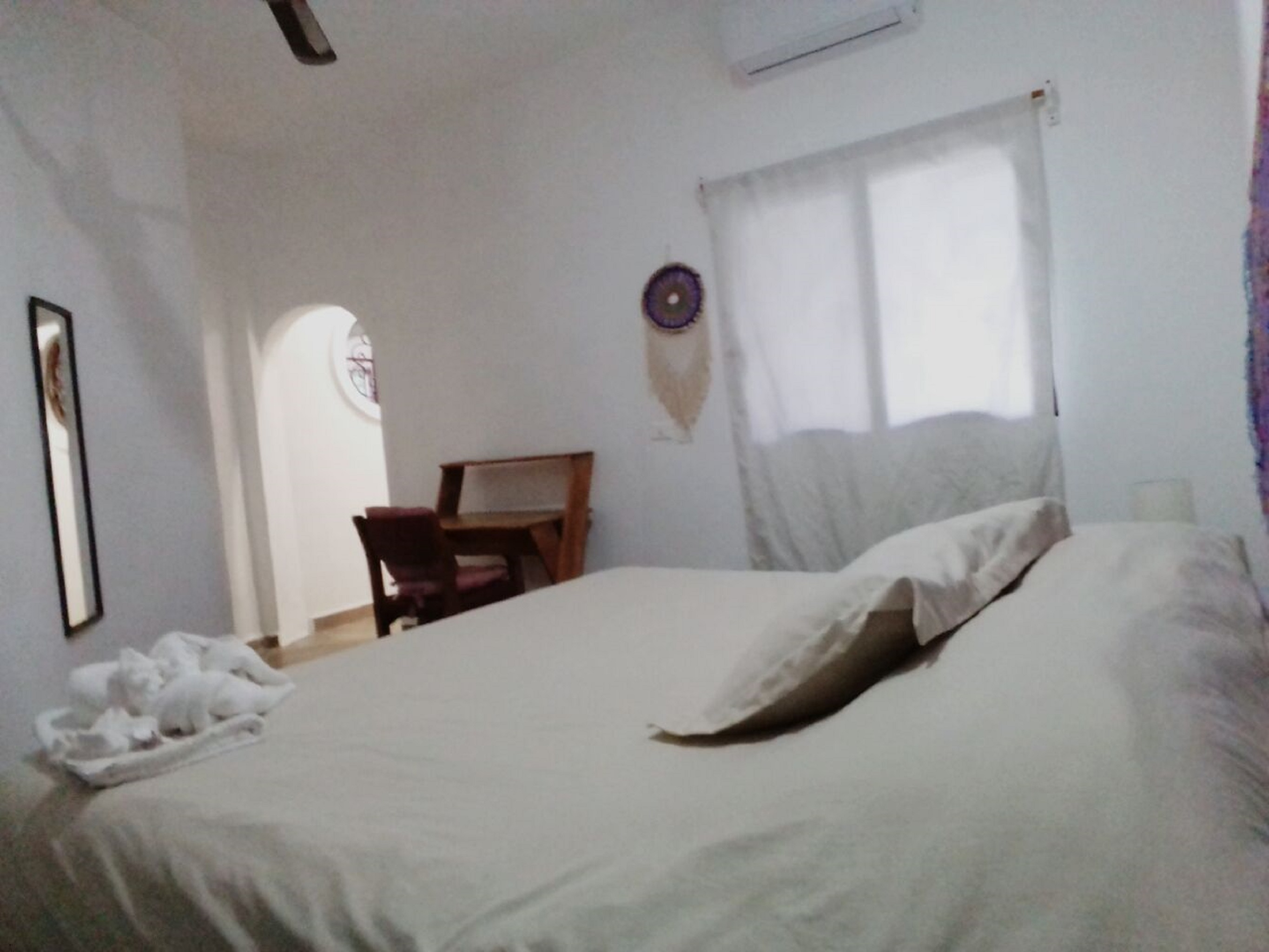 Sonido Del Mar