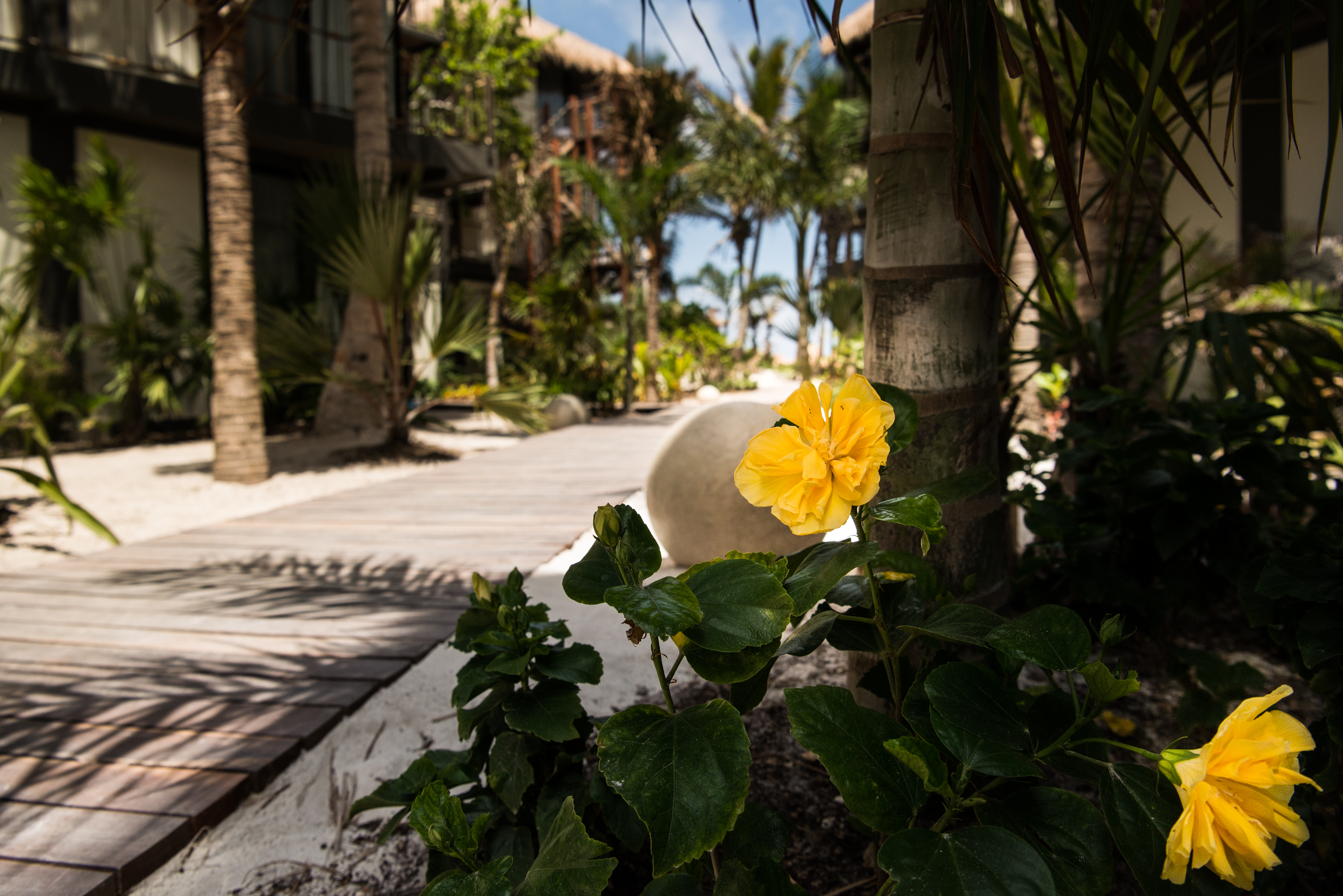 Tata Tulum Hotel
