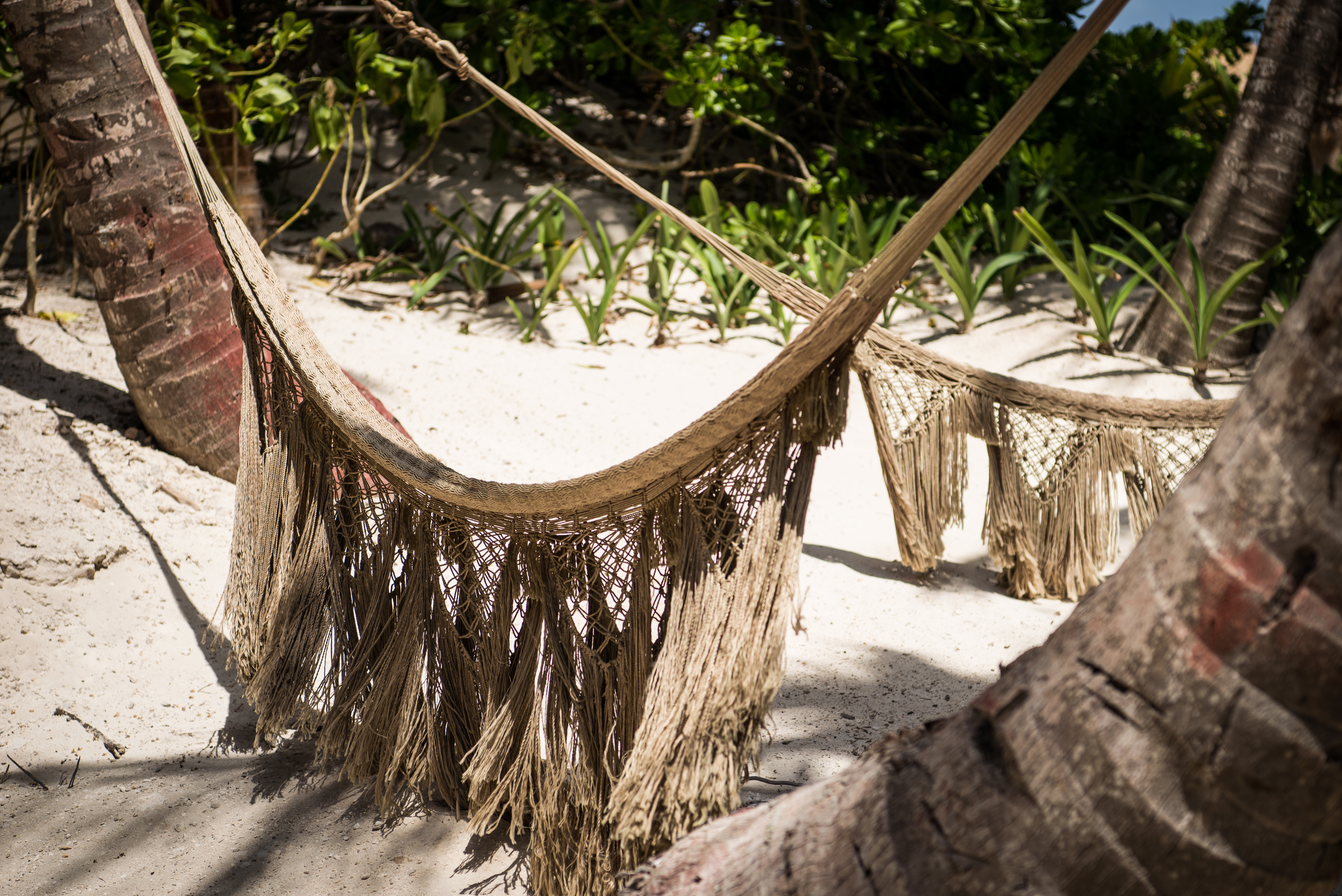Tata Tulum Hotel