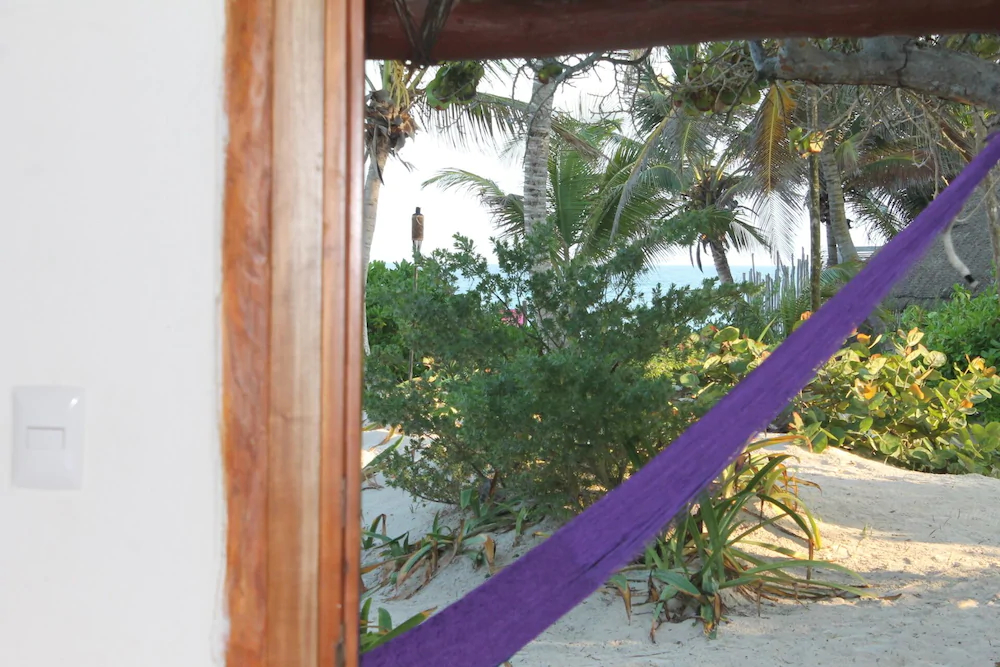 Bt Live Tulum