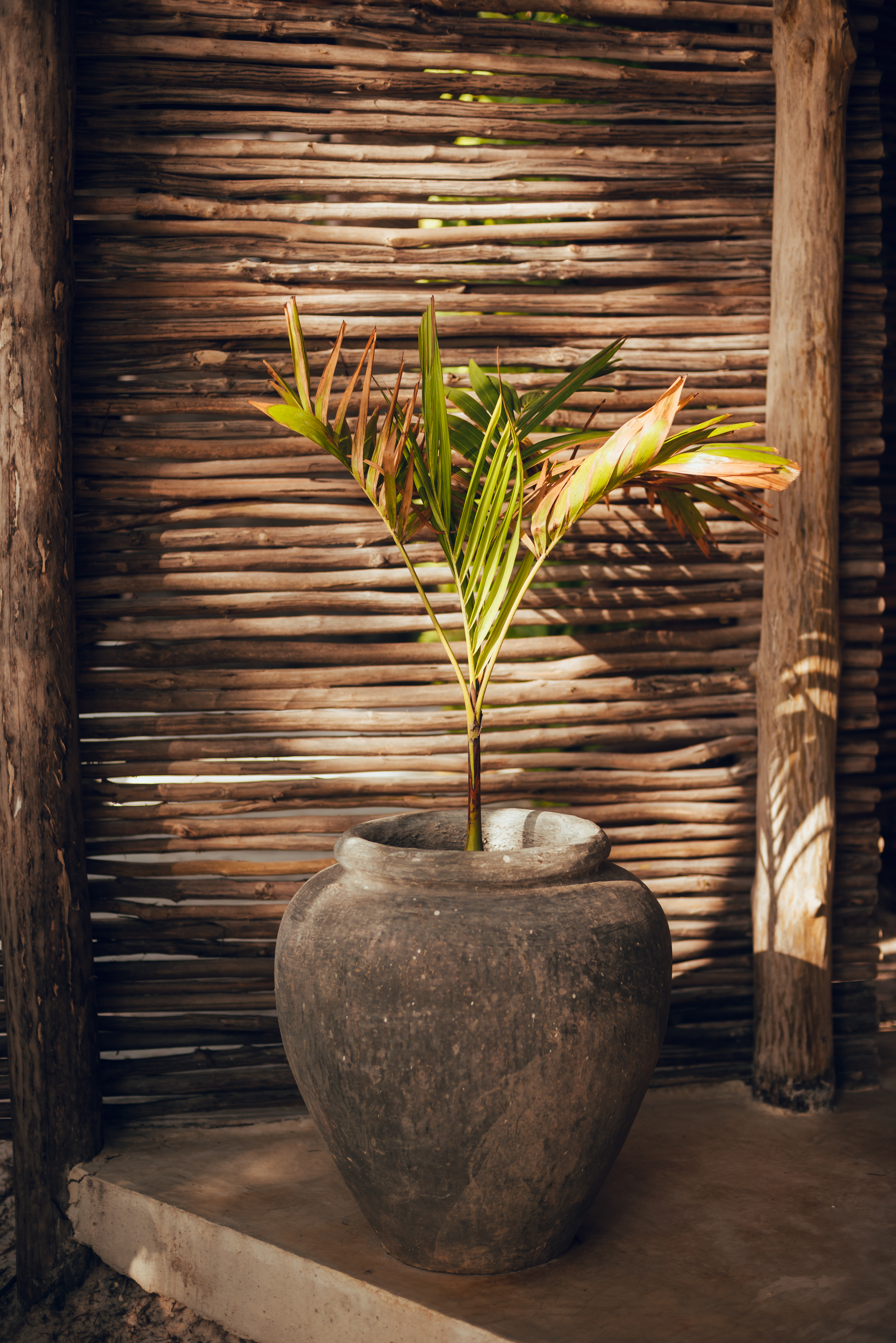 Tribal Tulum