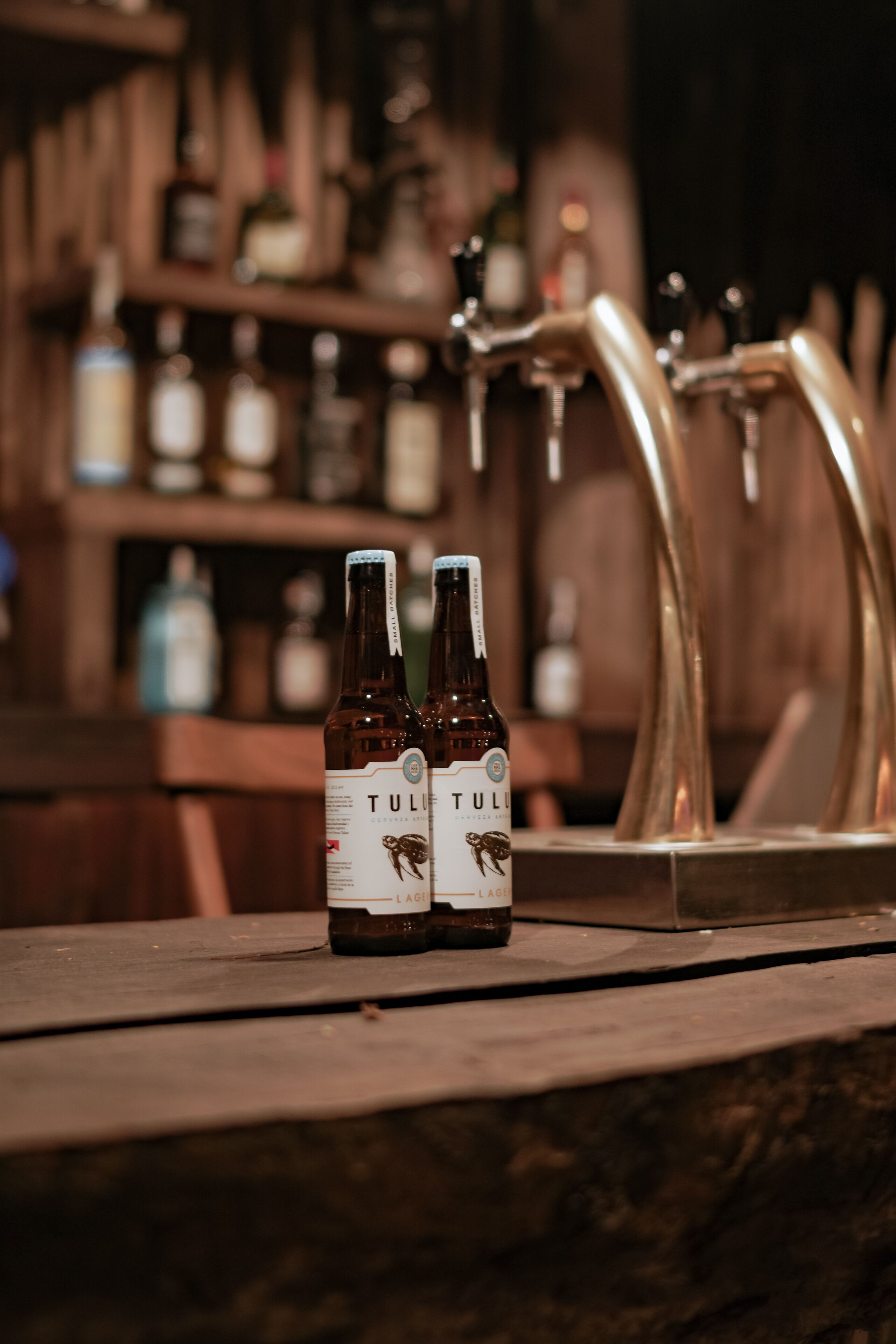 Tulum Brew House Hotel