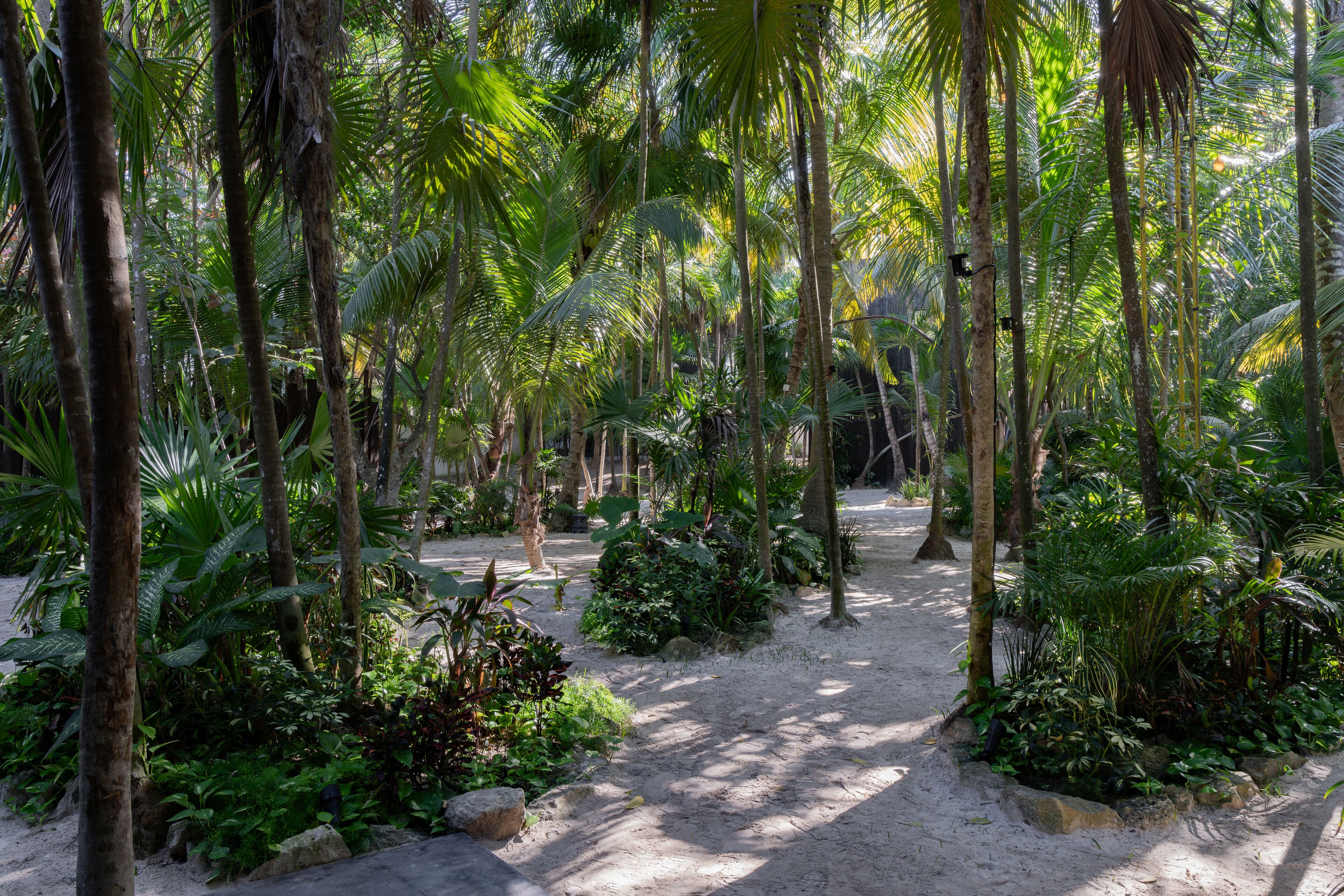 Umi Tulum