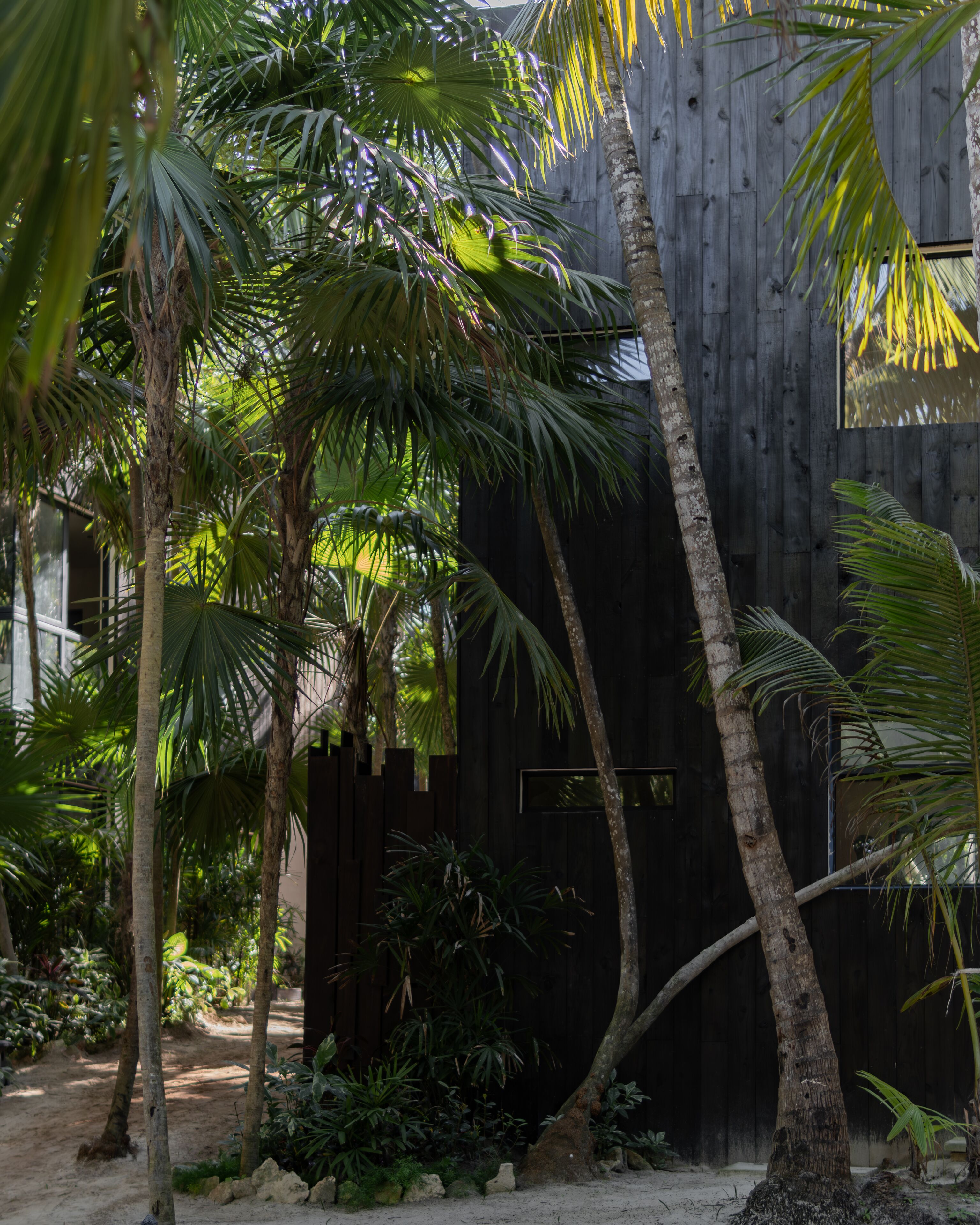 Umi Tulum