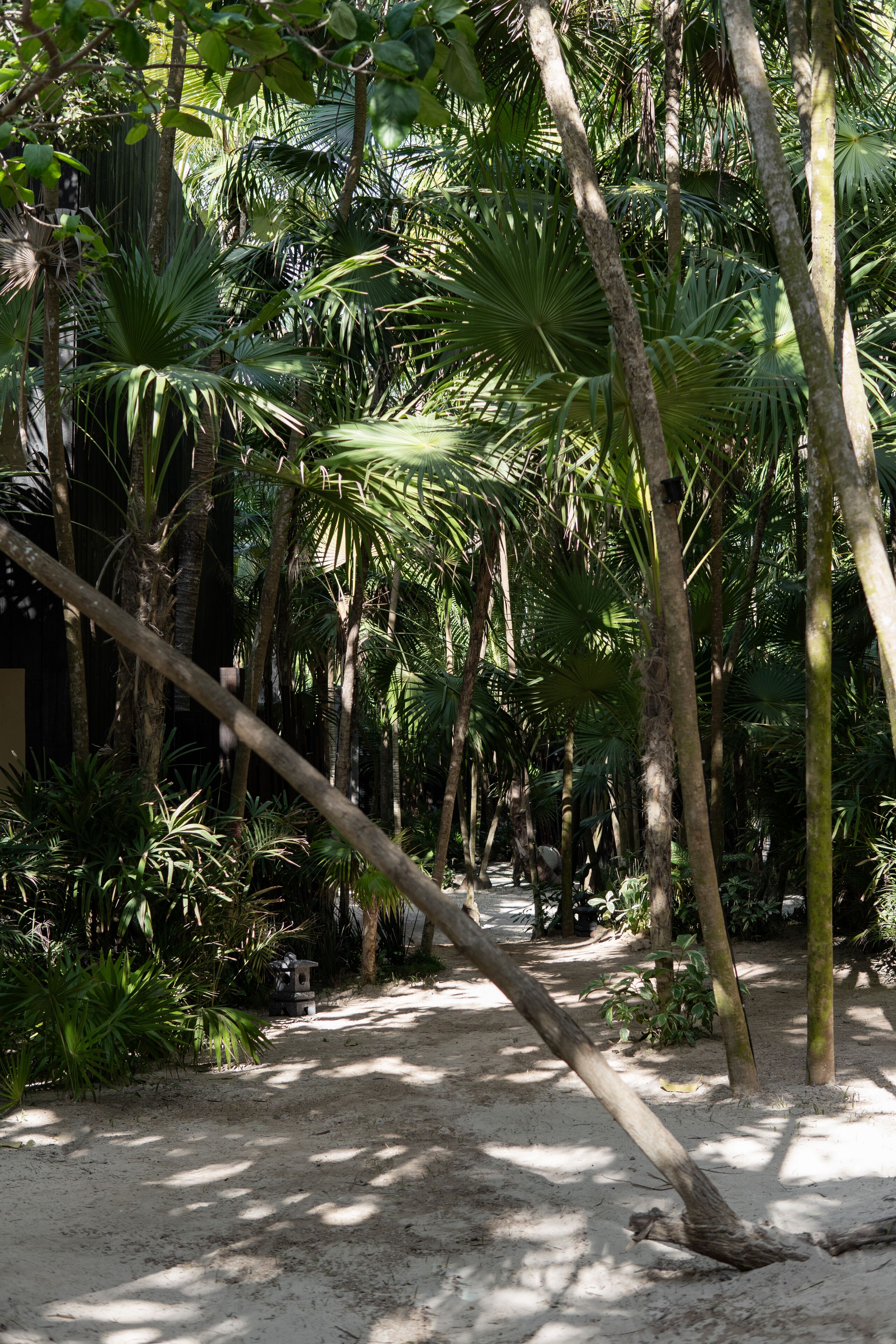 Umi Tulum