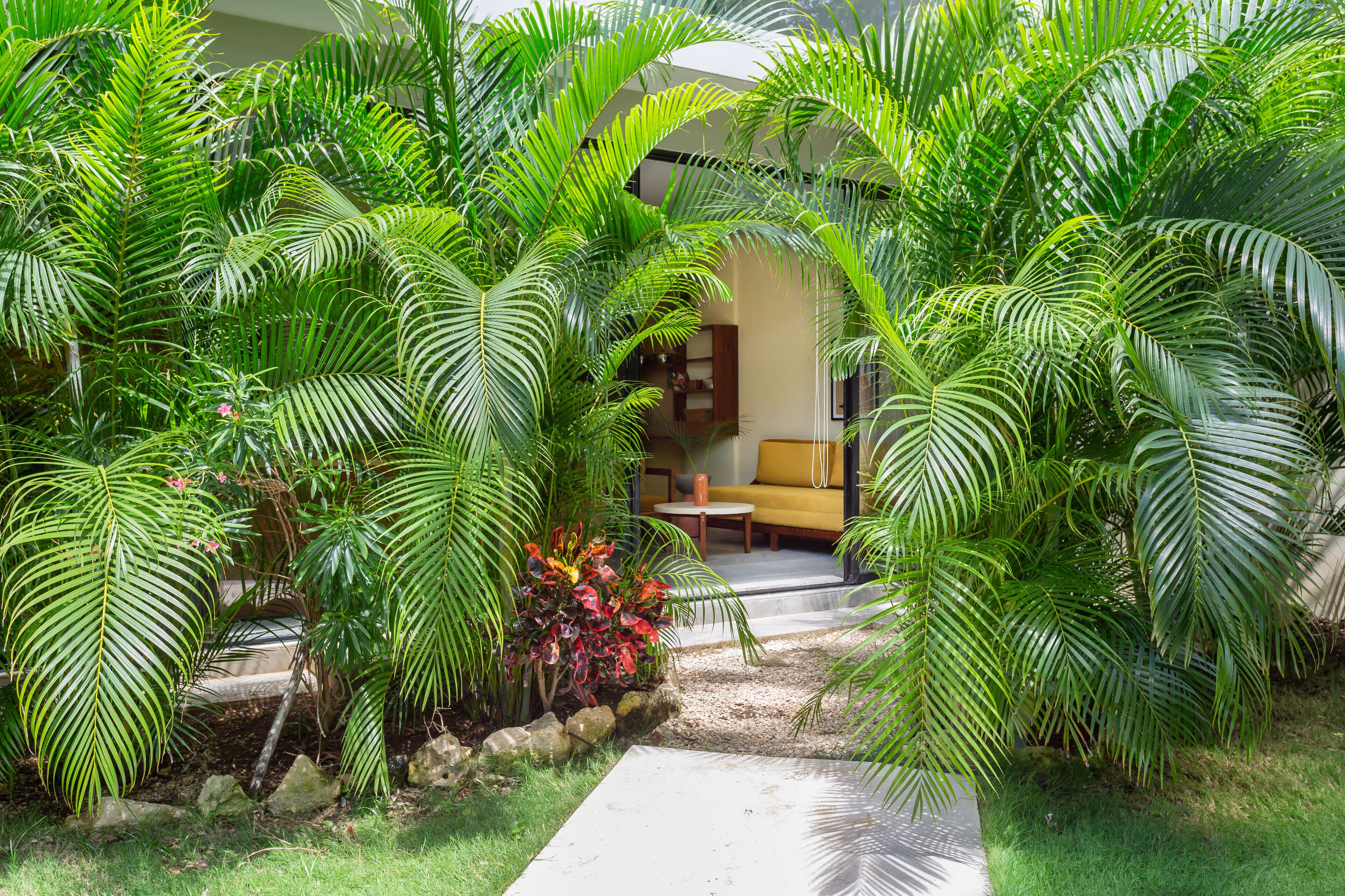 Xperience Tulum Hotel