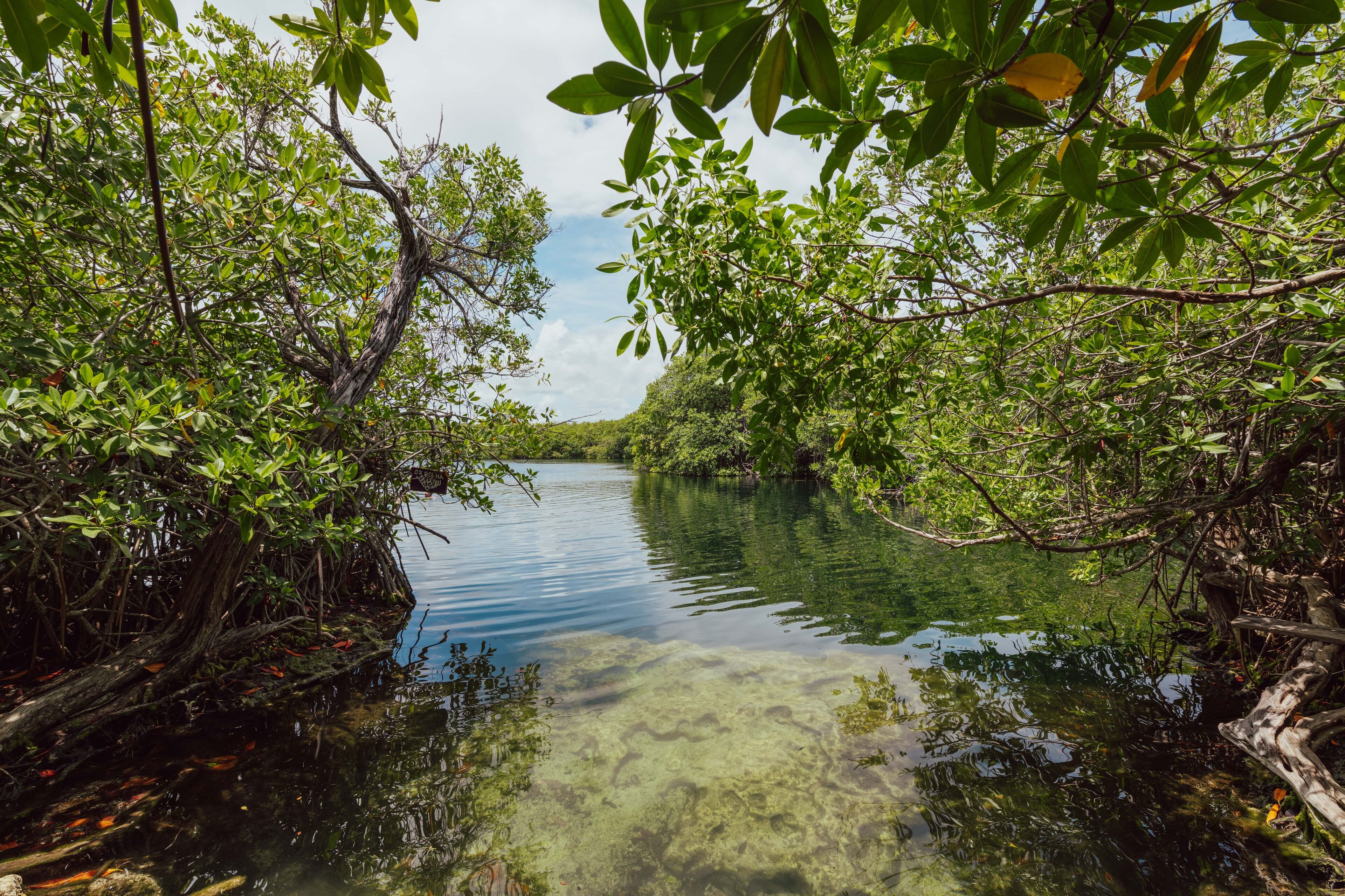 Yaxchen Tulum Eco Lodge & Cenote