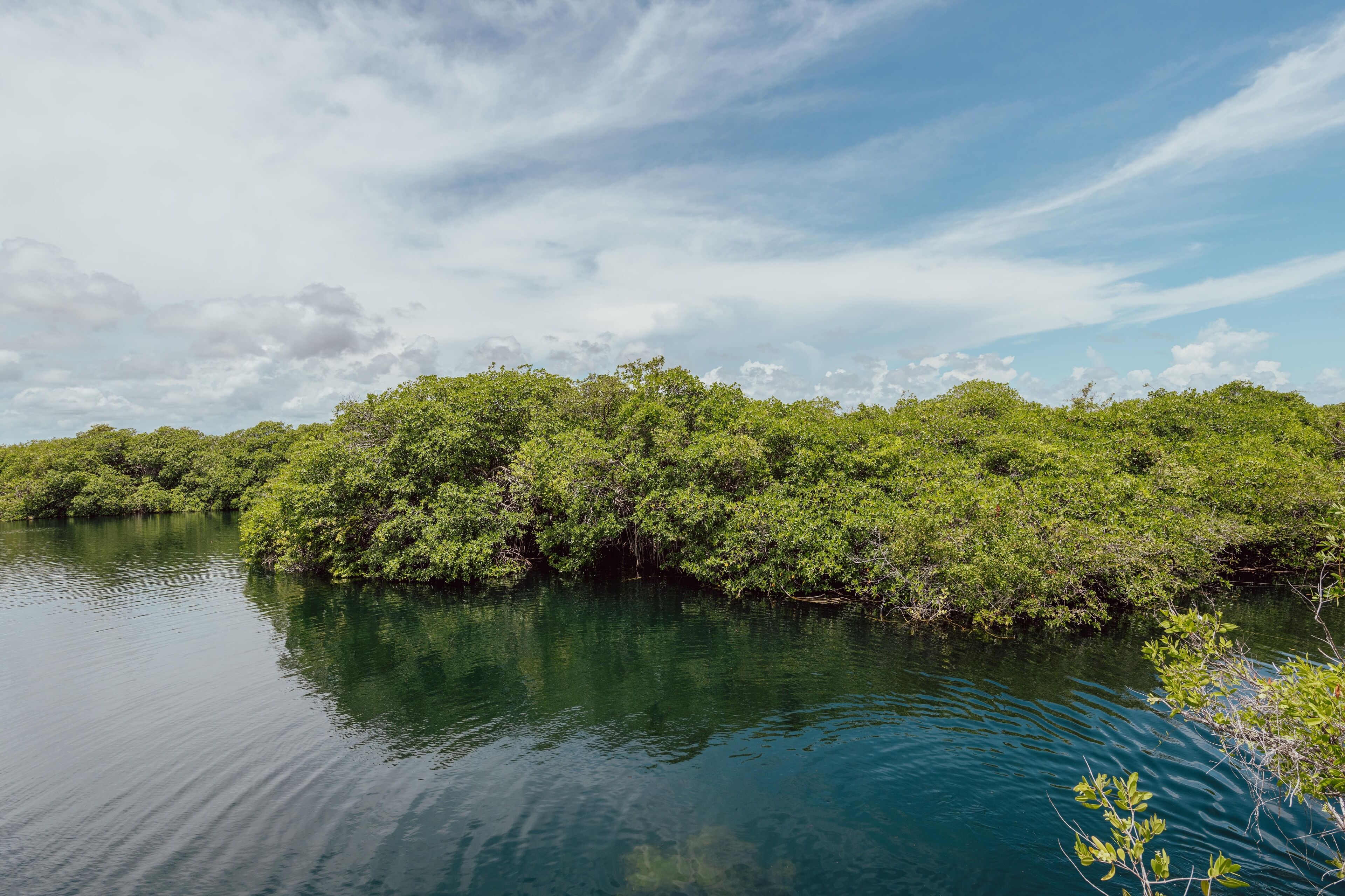 Yaxchen Tulum Eco Lodge & Cenote