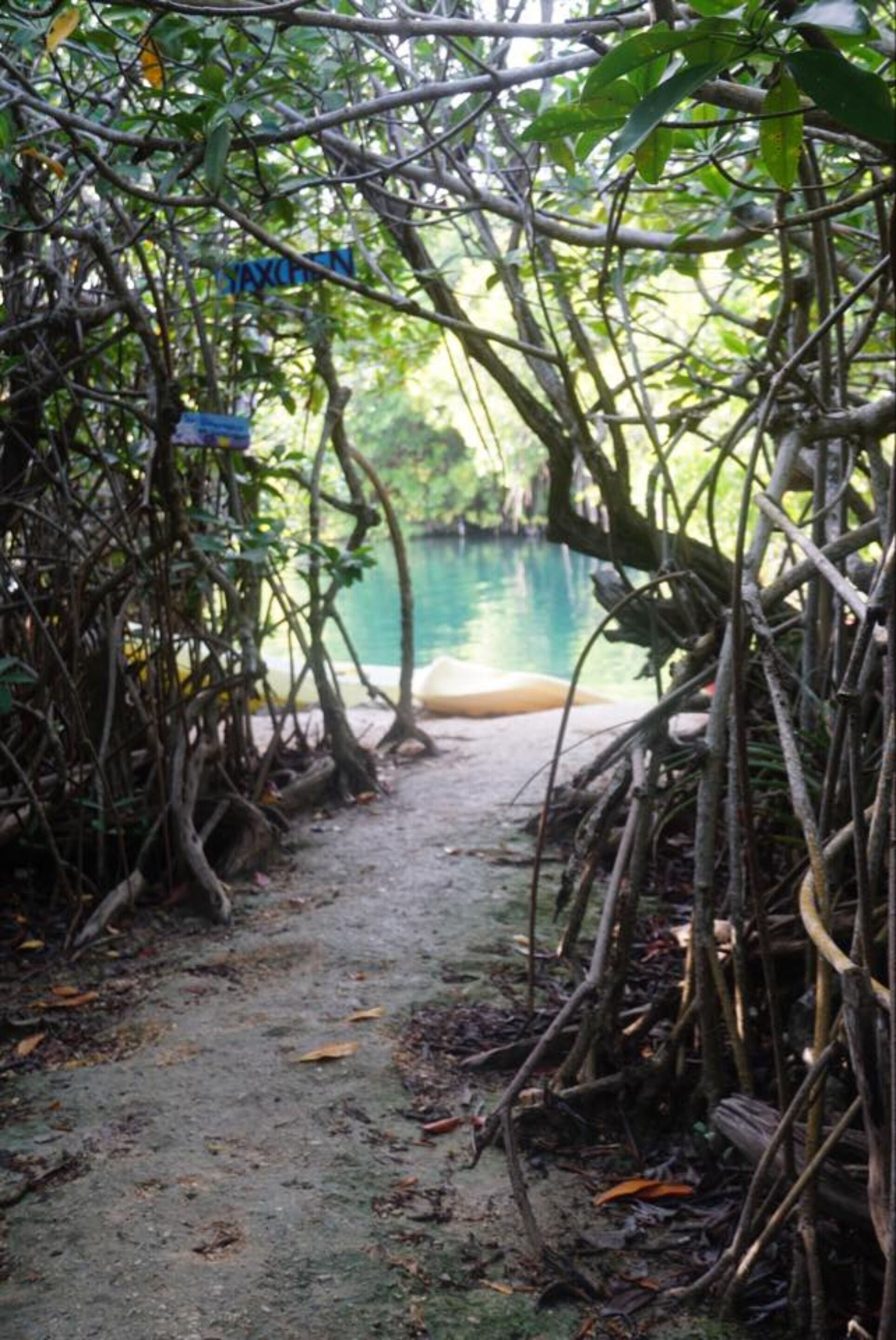 Yaxchen Tulum Eco Lodge & Cenote