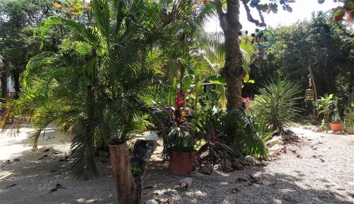 Zamunda Garden View Apartments