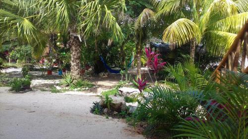 Zamunda Garden View Apartments