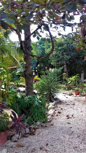 Zamunda Garden View Apartments