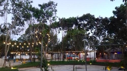 Zamunda Garden View Apartments
