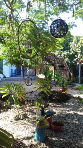 Zamunda Garden View Apartments