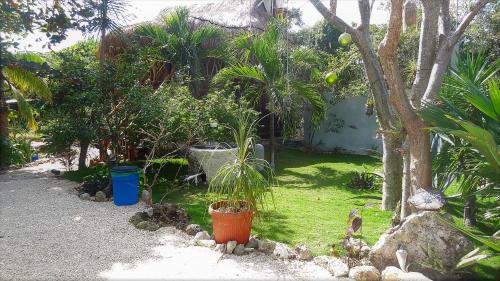 Zamunda Garden View Apartments