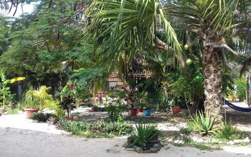 Zamunda Garden View Apartments