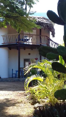 Zamunda Garden View Apartments