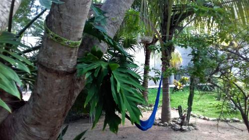 Zamunda Garden View Apartments