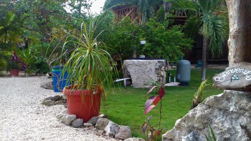 Zamunda Garden View Apartments