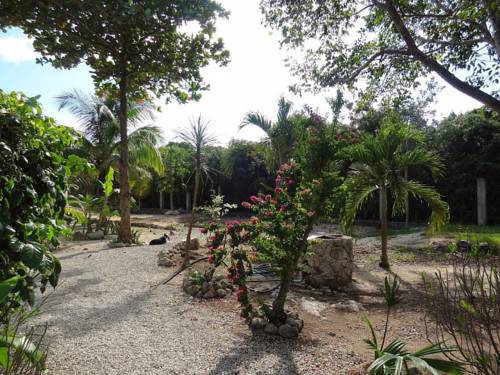 Zamunda Garden View Apartments