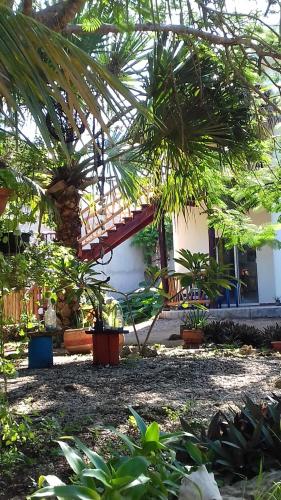 Zamunda Garden View Apartments