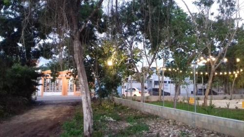 Zamunda Garden View Apartments
