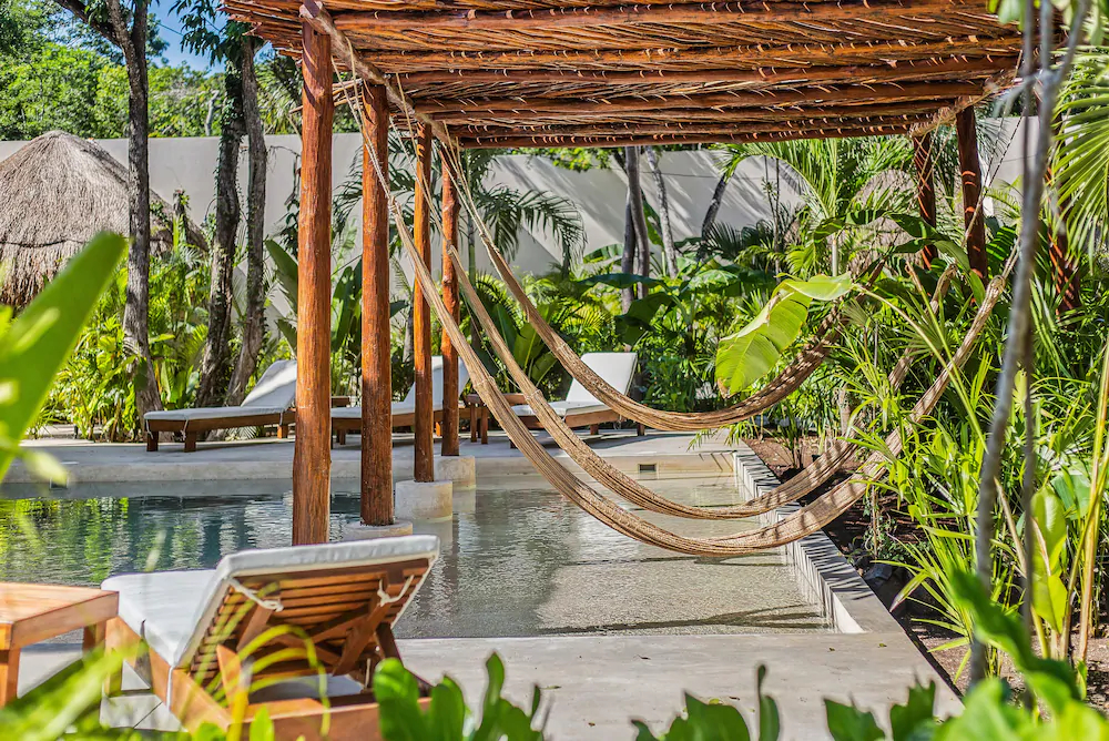 Zenses Wellness And Yoga Resort