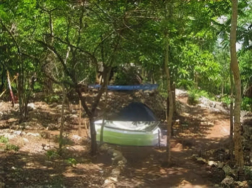 Yucatan Mayan Retreat Ecohotel & Camping