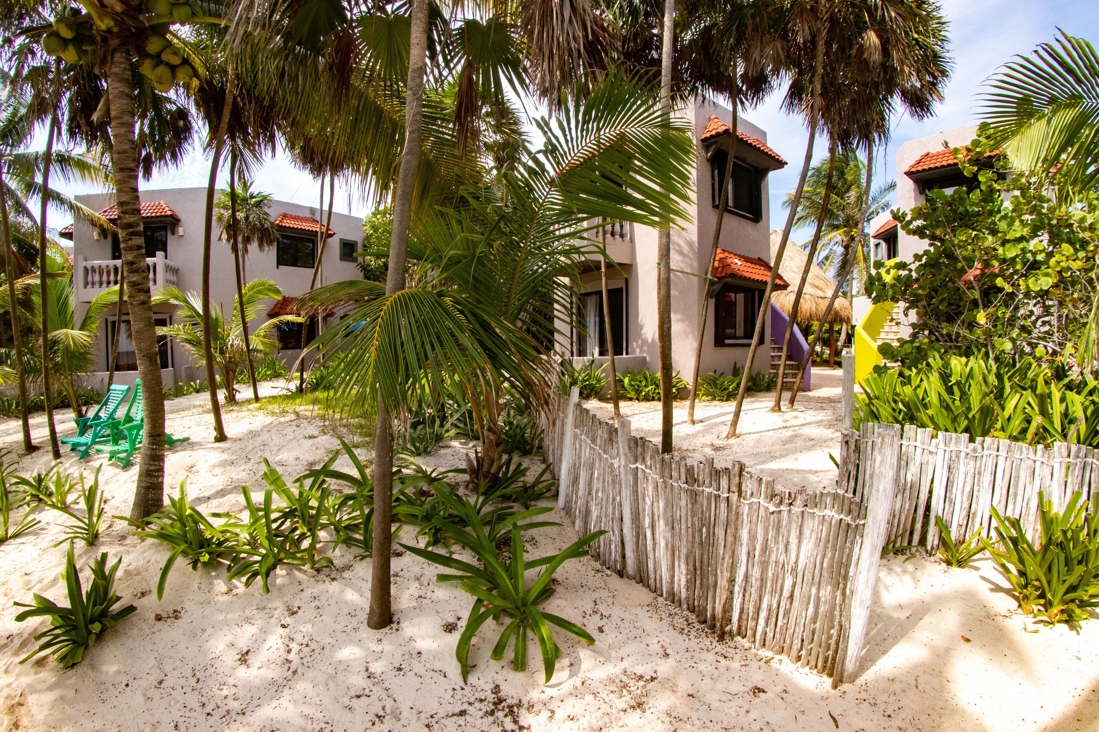 Margarita del Sol Costa Maya