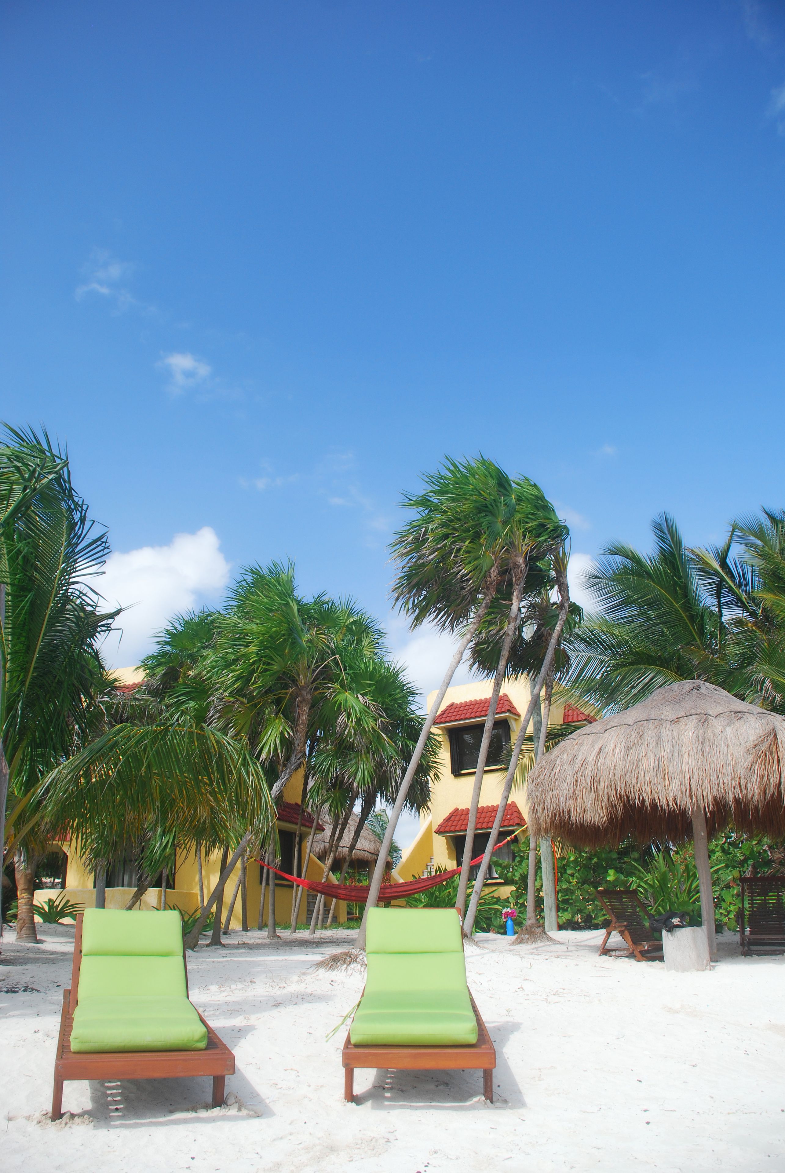 Margarita del Sol Costa Maya