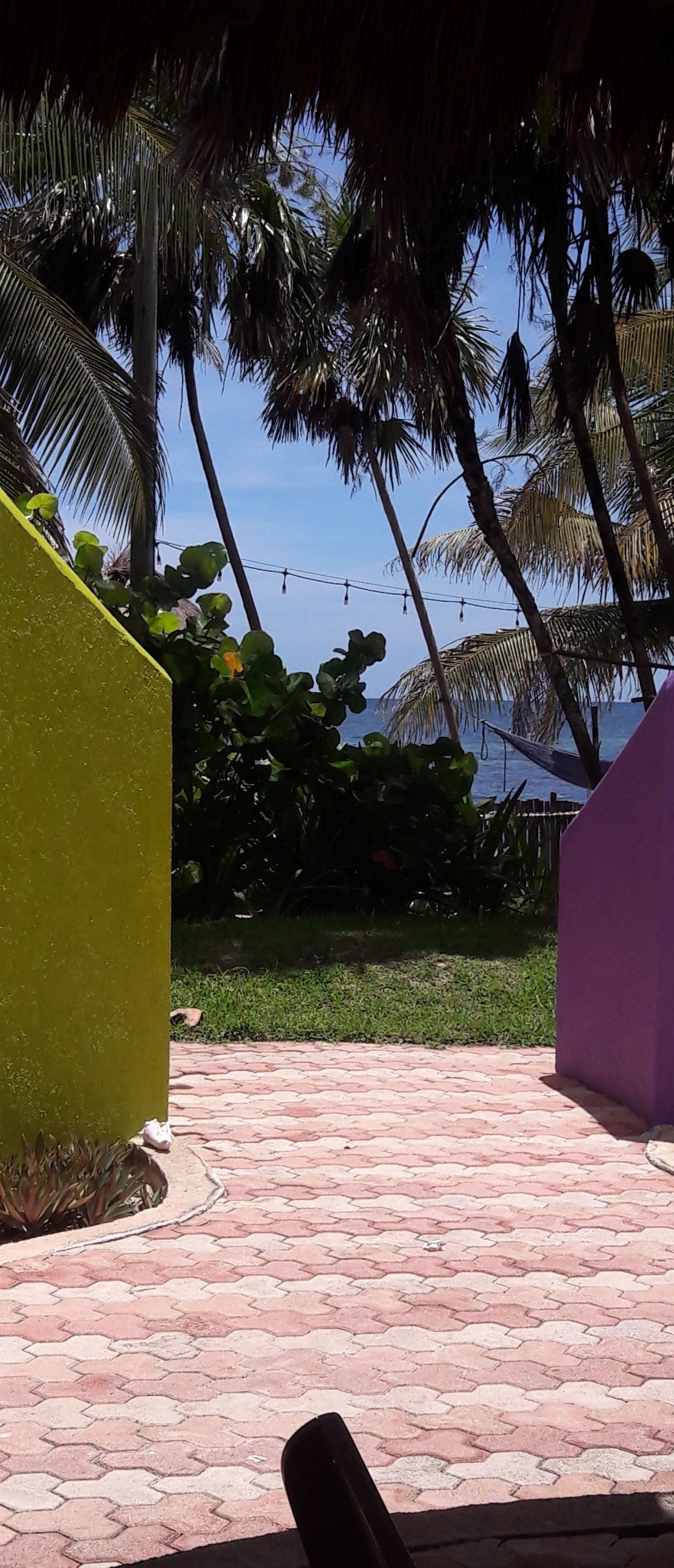 Margarita del Sol Costa Maya