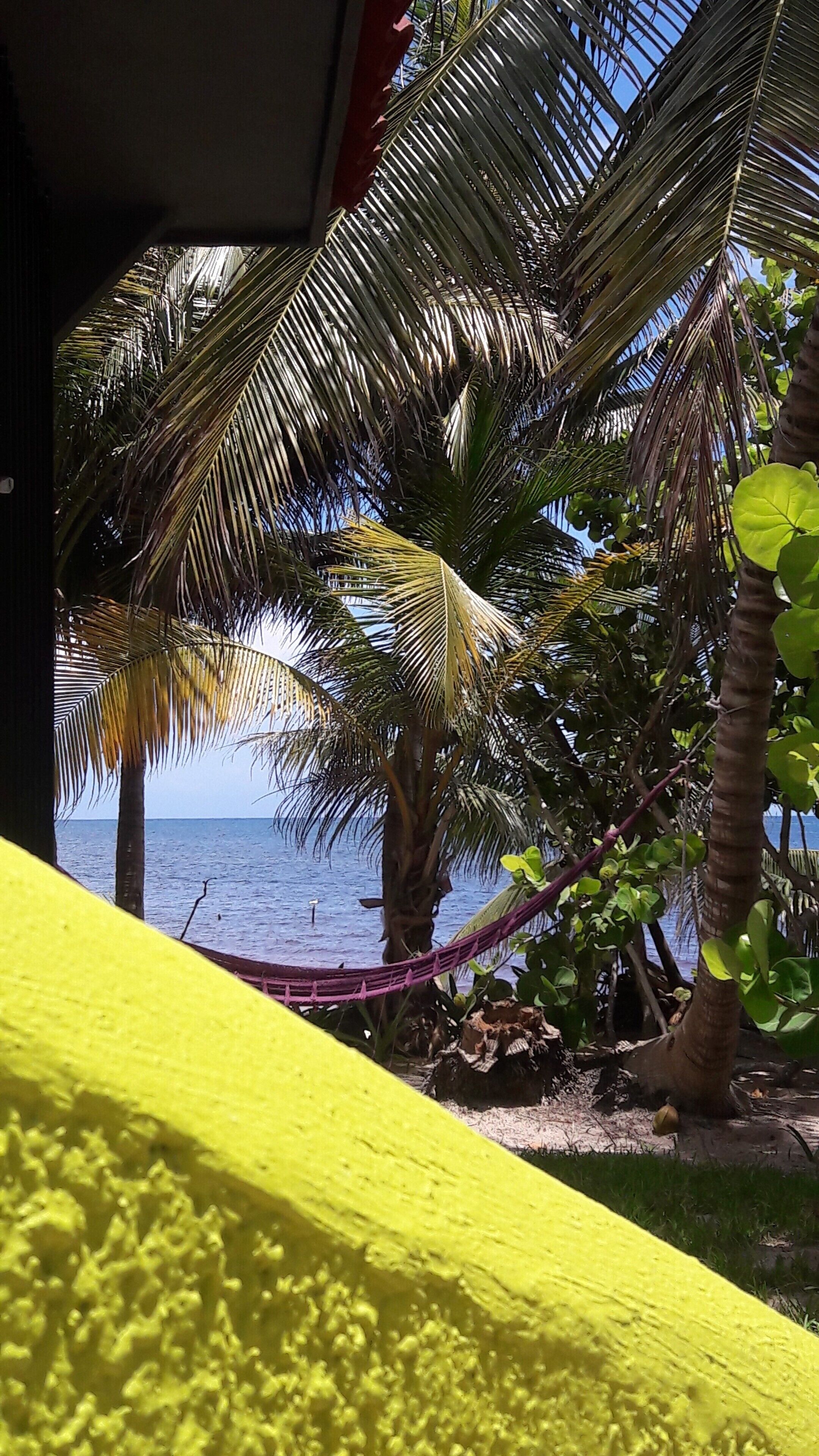 Margarita del Sol Costa Maya