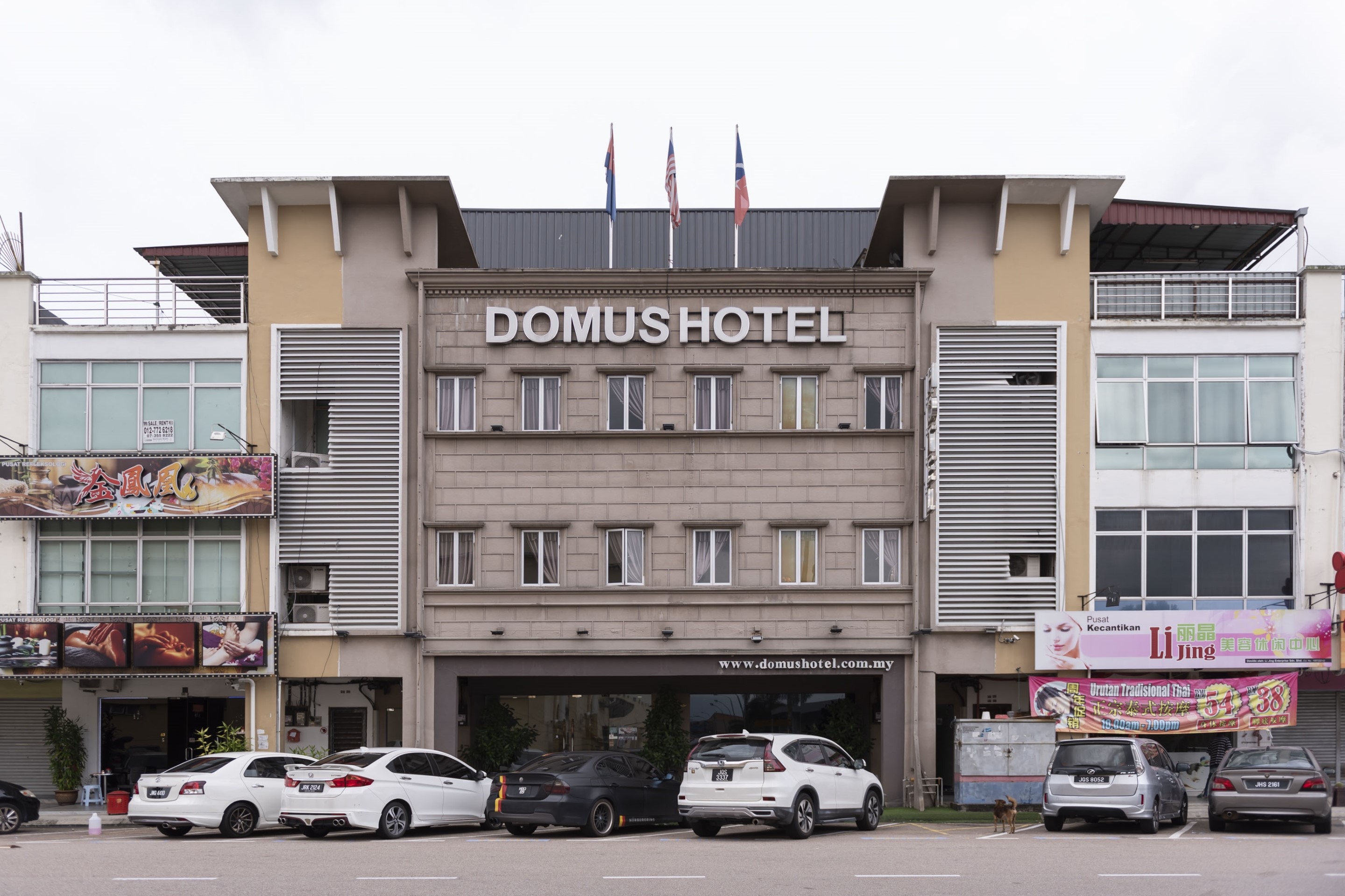 OYO 519 Domus Hotel