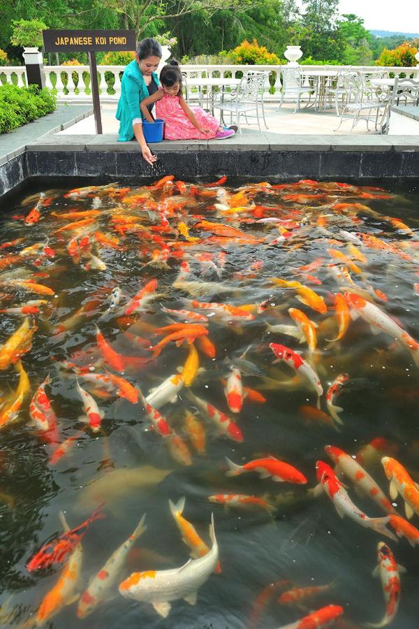 Pulai Springs Resort Anugraha Boutique & Cinta Ayu Suites